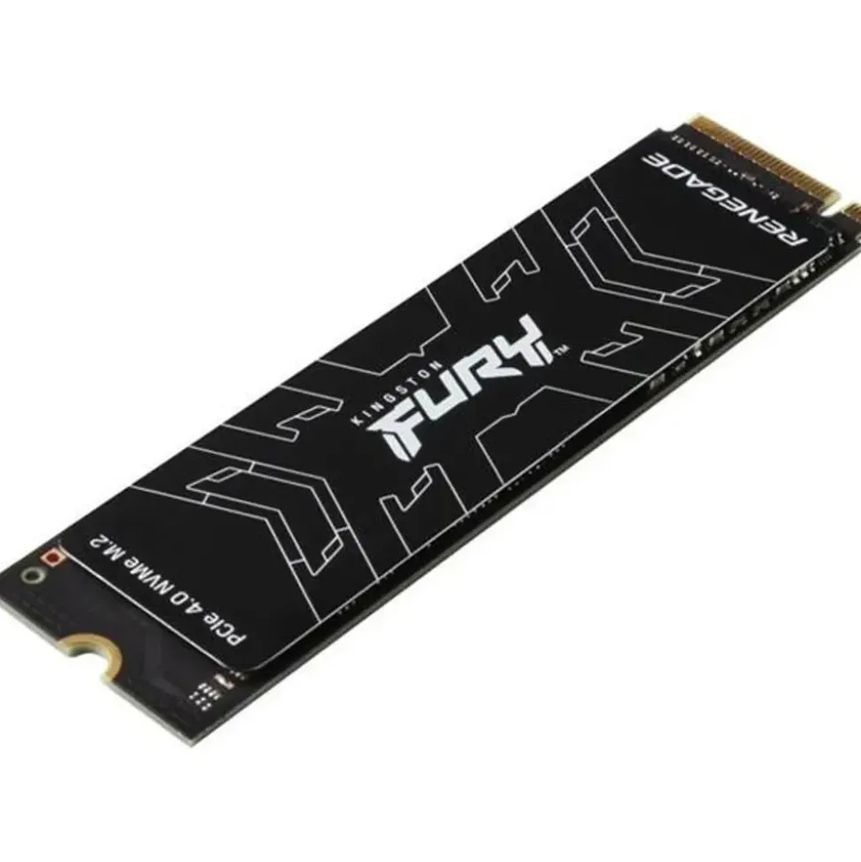 Kingston Fury Renegade