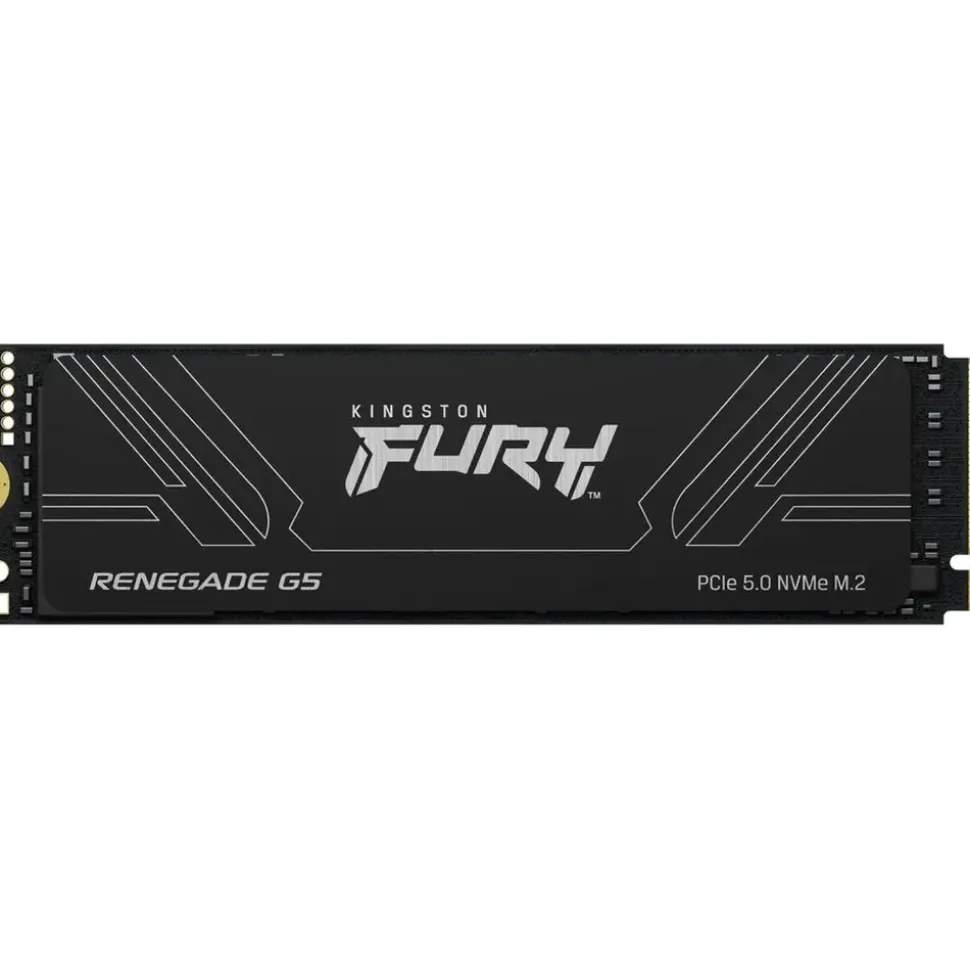 Kingston Fury Renegade