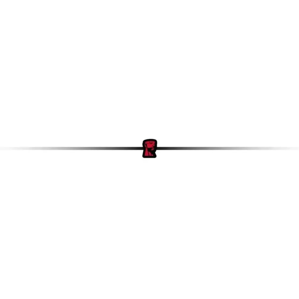 Kingston XS2000