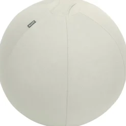 Leitz Ergo Active Sitzball Grau 65 cm