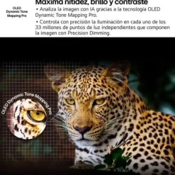 LG C54LA 4K OLED evo AI Smart TV C5