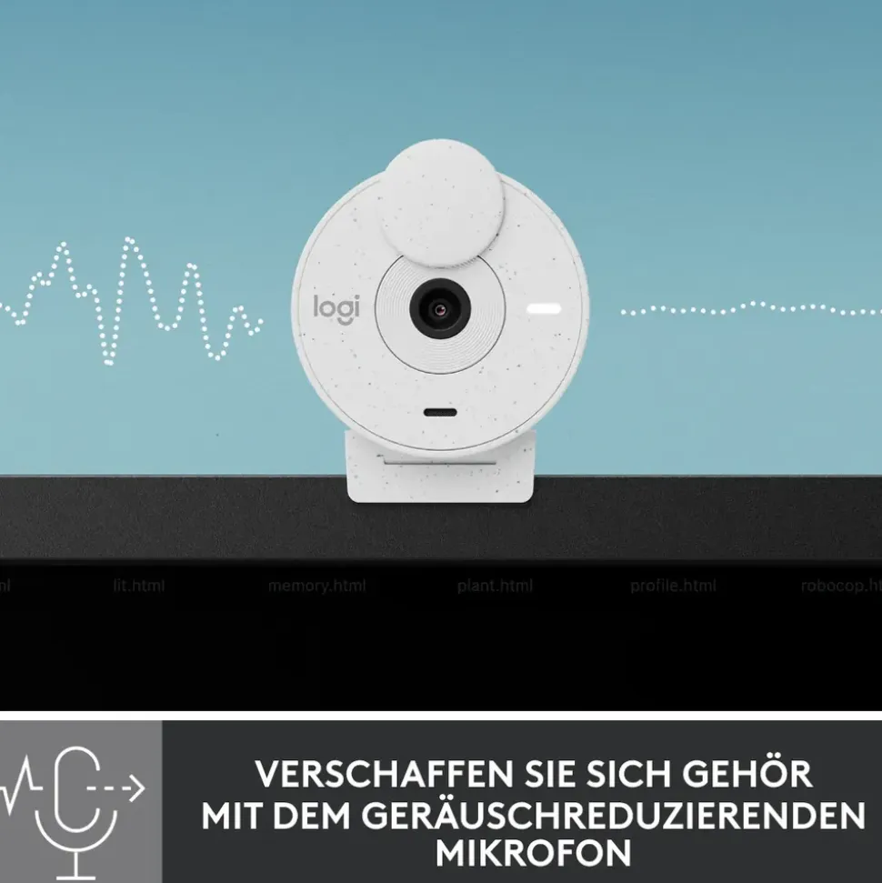 Logitech Brio 300