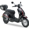 LUXXON E3000 3000 Watt 45 km/h schwarz