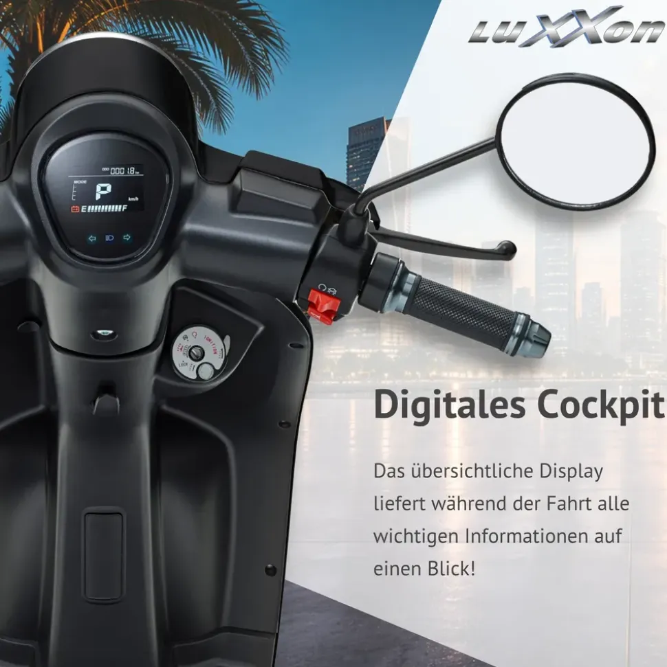 LUXXON E3000 3000 Watt 45 km/h schwarz