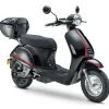 LUXXON E3000 3000 Watt 25 km/h schwarz