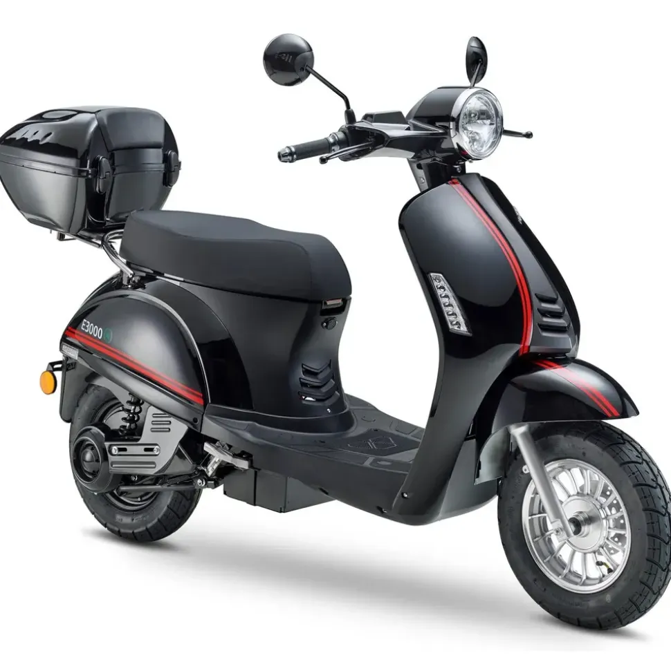LUXXON E3000 3000 Watt 25 km/h schwarz
