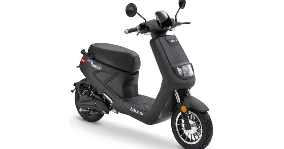 LUXXON XT2000 2000 Watt 45 km/h schwarz