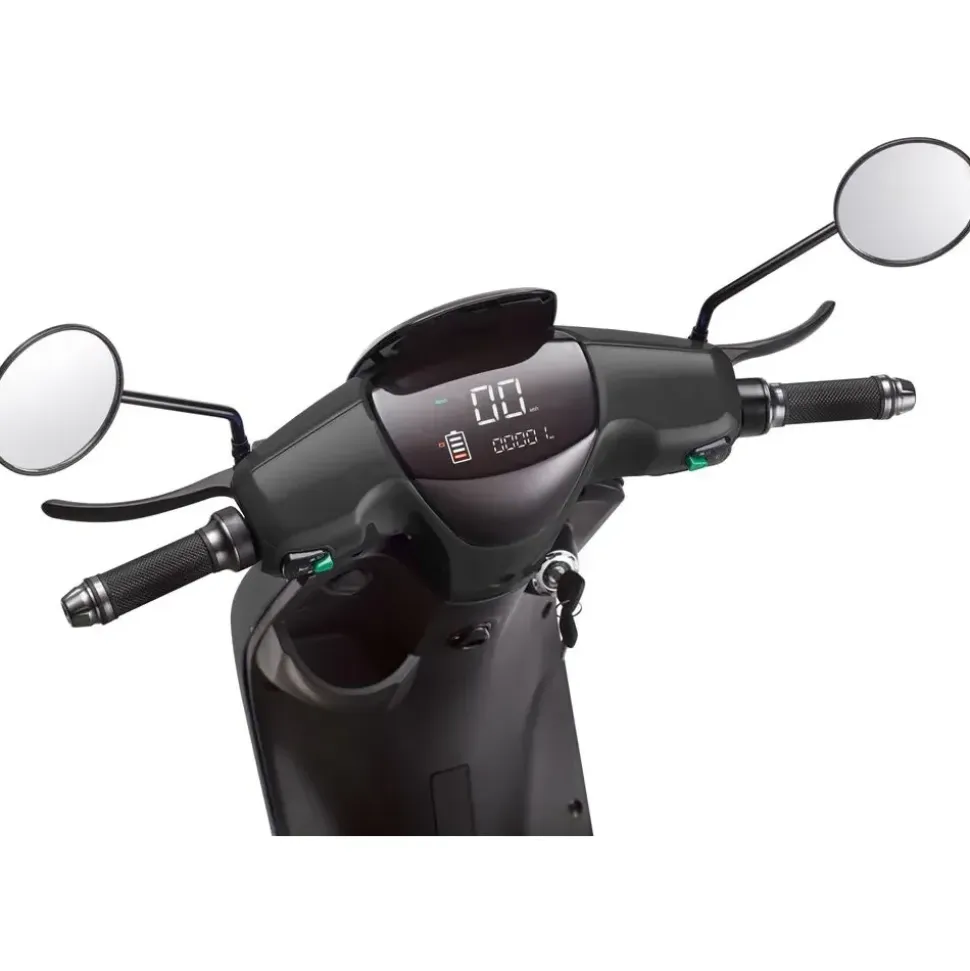 LUXXON XT2000 2000 Watt 45 km/h schwarz