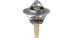 mahle Thermostat, Kühlmittel