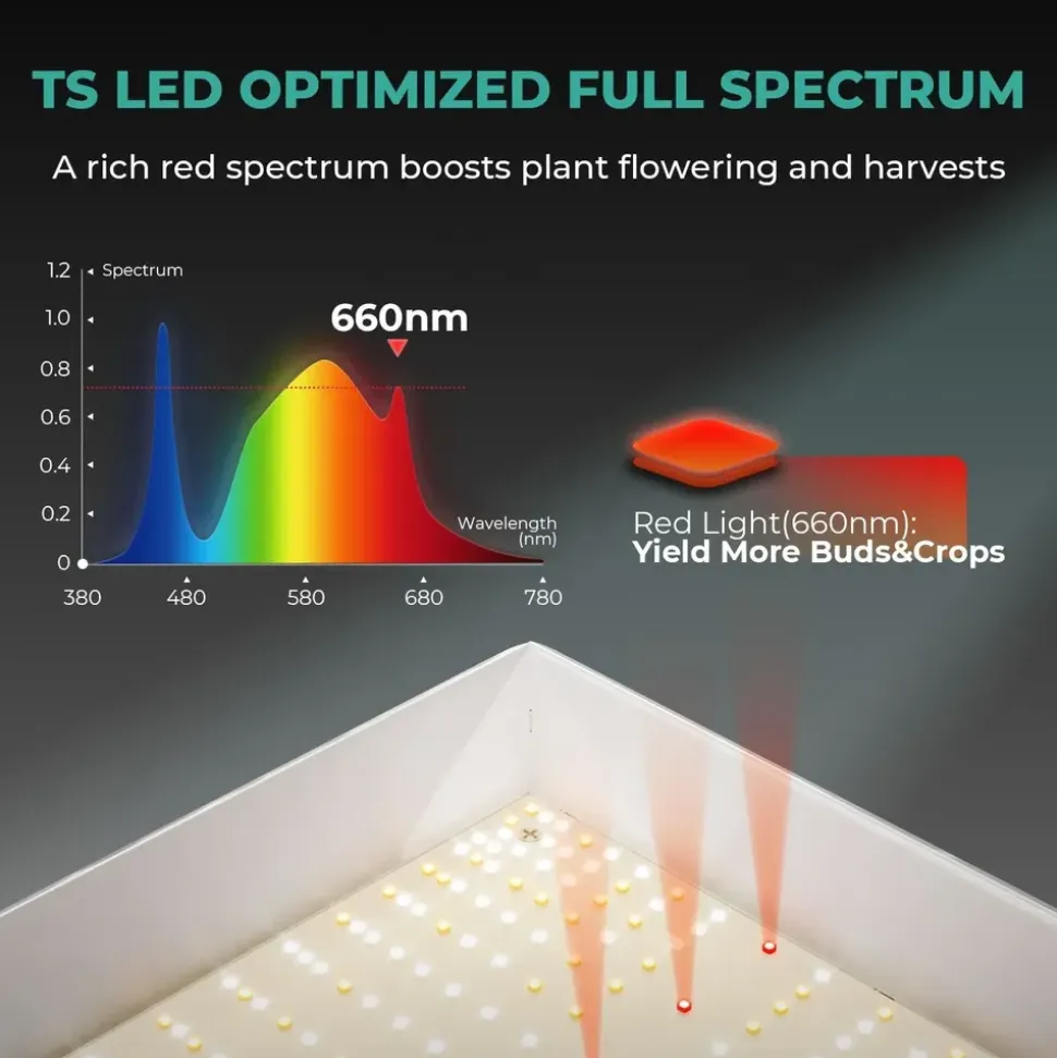 Mars Hydro Wachstumszelt Komplettset 150W LED 80 x 80 x 120 cm Transparent