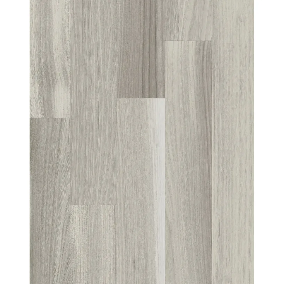 Parador Basic 200