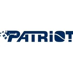Patriot P300