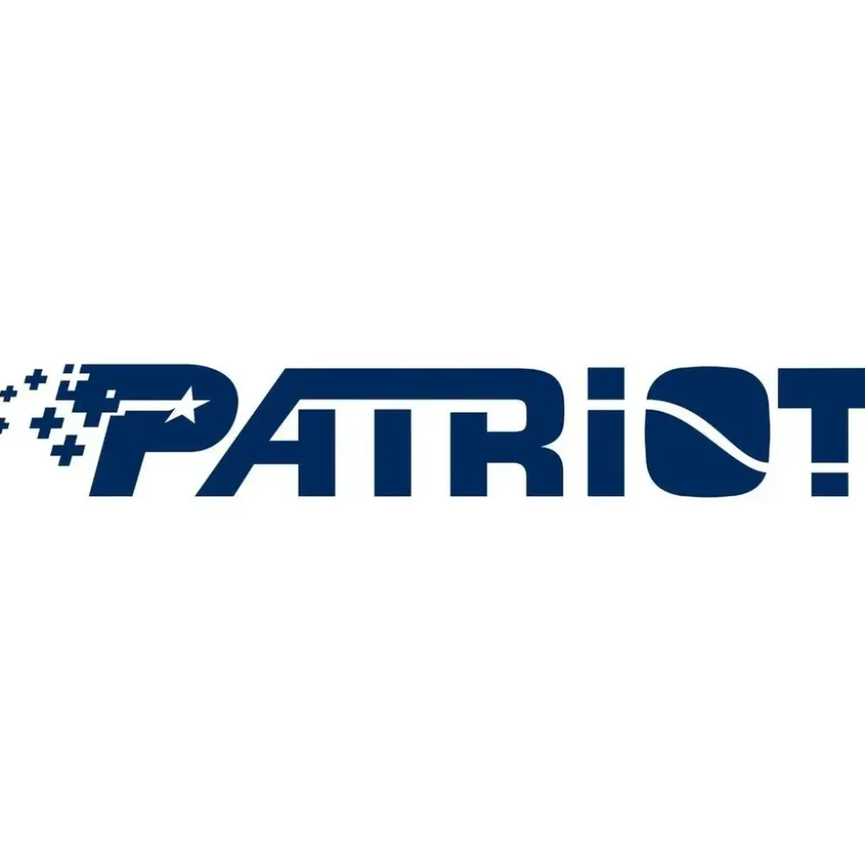Patriot P300