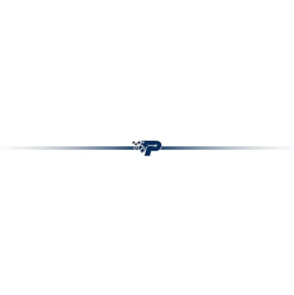 Patriot P300