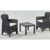 PROGARDEN Gartenset 3-tlg. anthrazit