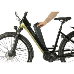 Prophete Geniesser 6.0 28 Zoll RH 54 cm Schwarz