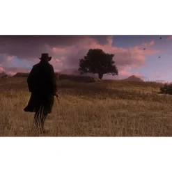 Red Dead Redemption 2 (Xbox One)