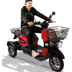 Rolektro E-Carrier 25 V.3