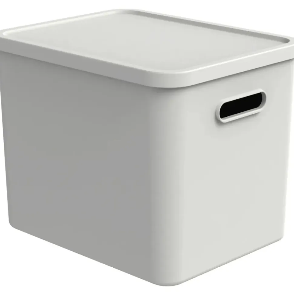 Rotho Aufbewahrungsbox ALBULA 27 l 1-tlg. weiß