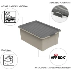 Rotho Stapelbox Compact 38 l