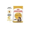 Royal Canin Adult Maine Coon