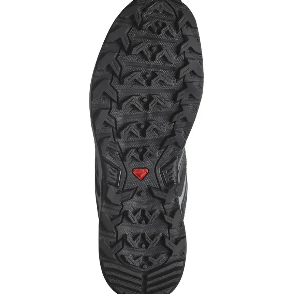 Salomon X Ultra Pioneer Gore-Tex Herren
