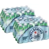 San Pellegrino Sprudelwasser in der Flasche, 24 x 500 ml