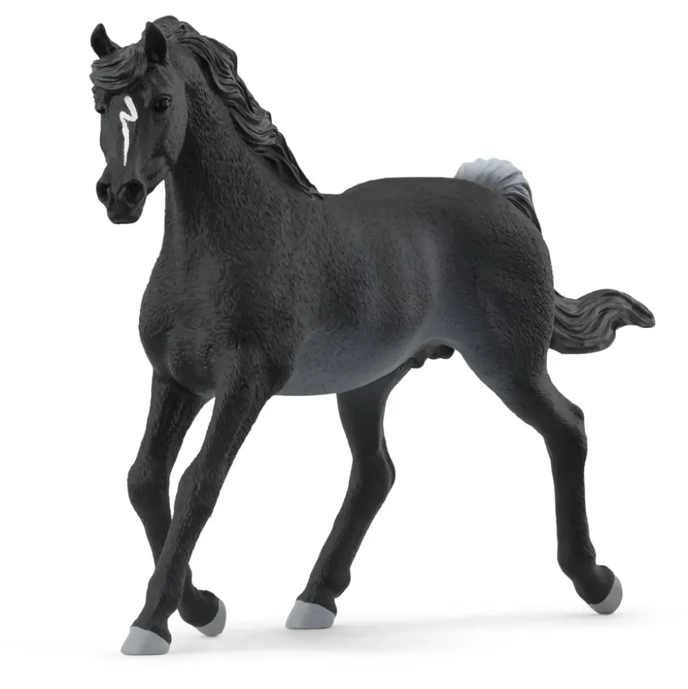 Schleich Horse Club Araber Hengst 13981