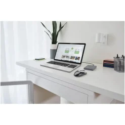 Seagate Basic Portable