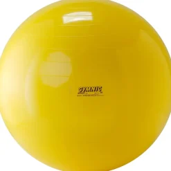 Sport-Tec Gymnastikball Silber 65 cm