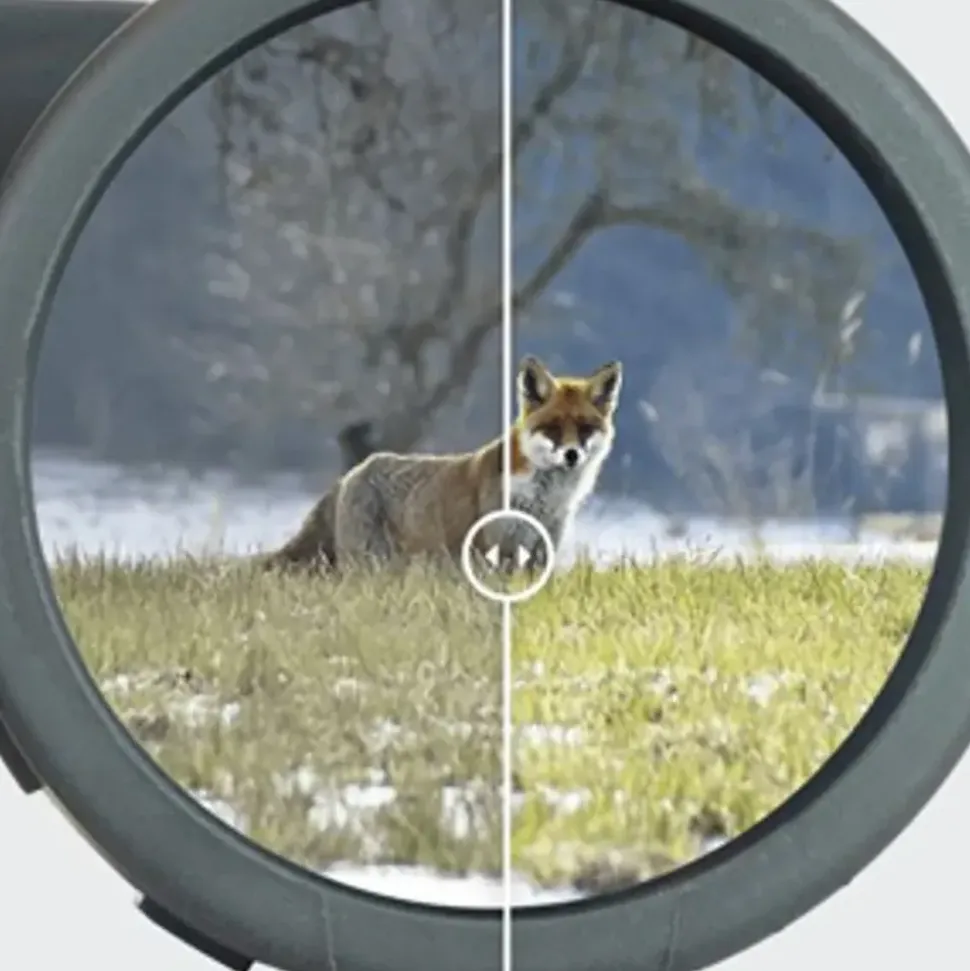 Steiner Observer 10x42