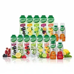 teisseire zero Holunderblüte Sirup 3600 ml