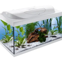 Tetra Starter Line 54,0 l Komplettaquarium mit Zubehör weiß