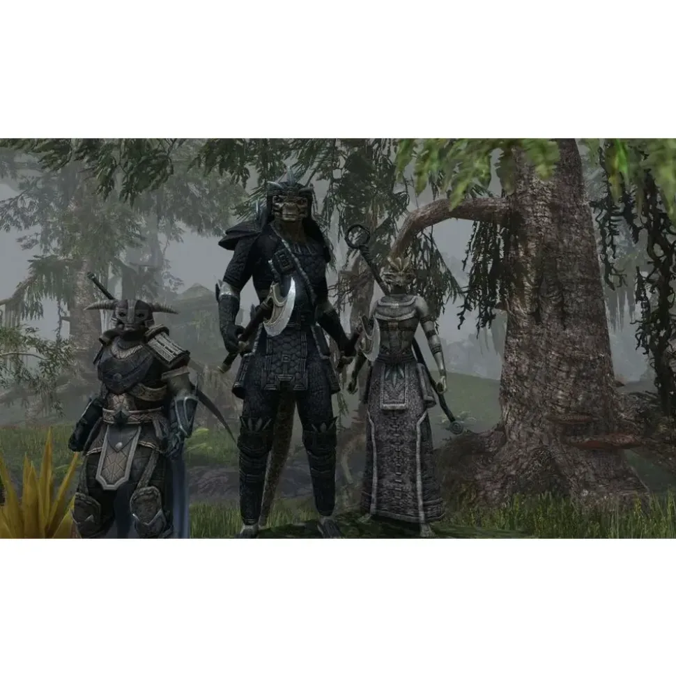 The Elder Scrolls Online: Tamriel Unlimited (Xbox One)