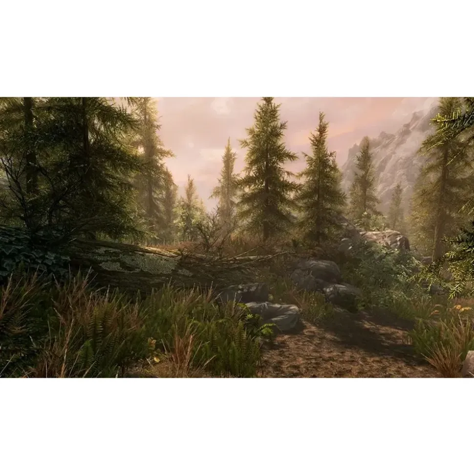 The Elder Scrolls V: Skyrim - Special Edition (USK) (Xbox One)