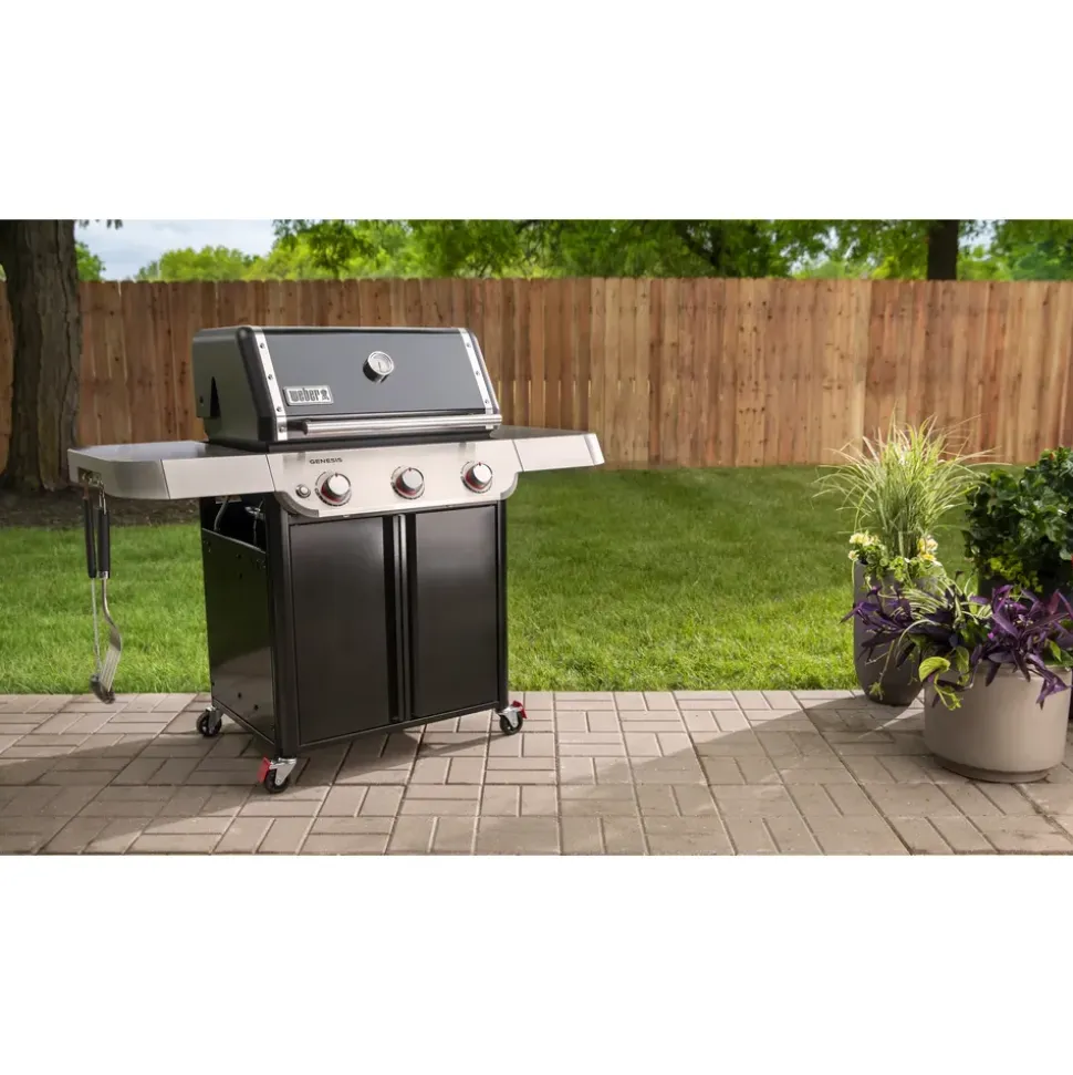Weber Genesis Gasgrill