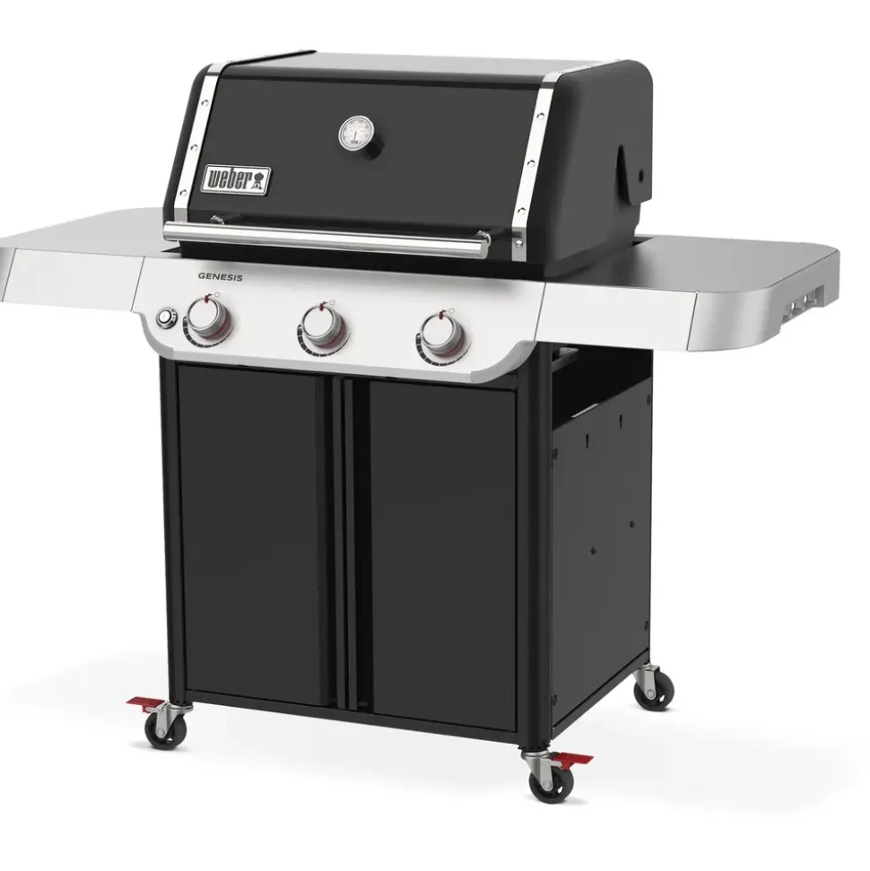 Weber Genesis Gasgrill