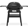 Weber Q 2200N