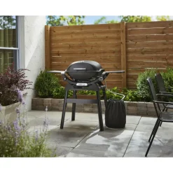 Weber Q 2200N