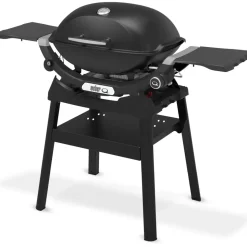 Weber Q 2200N
