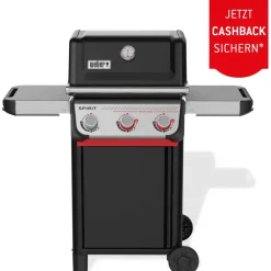 Weber Spirit E-325 GBS schwarz 1500895