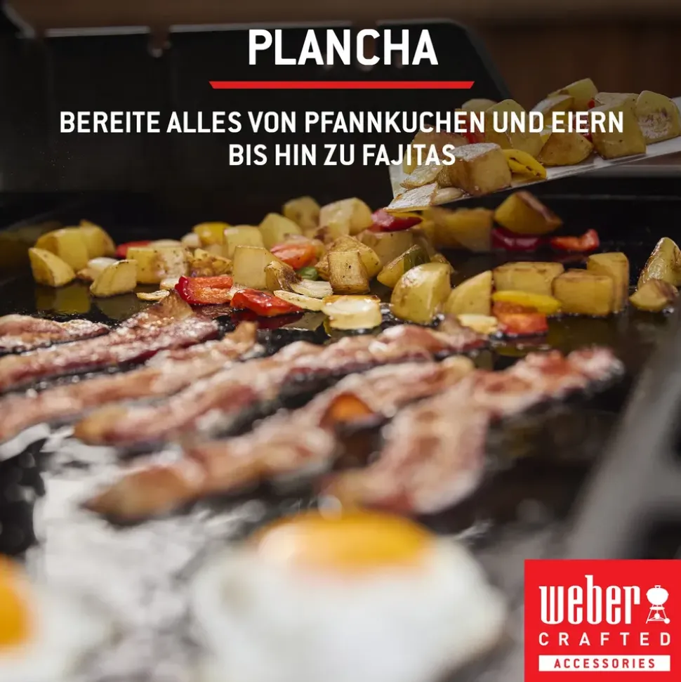Weber Spirit E-325 GBS schwarz 1500895