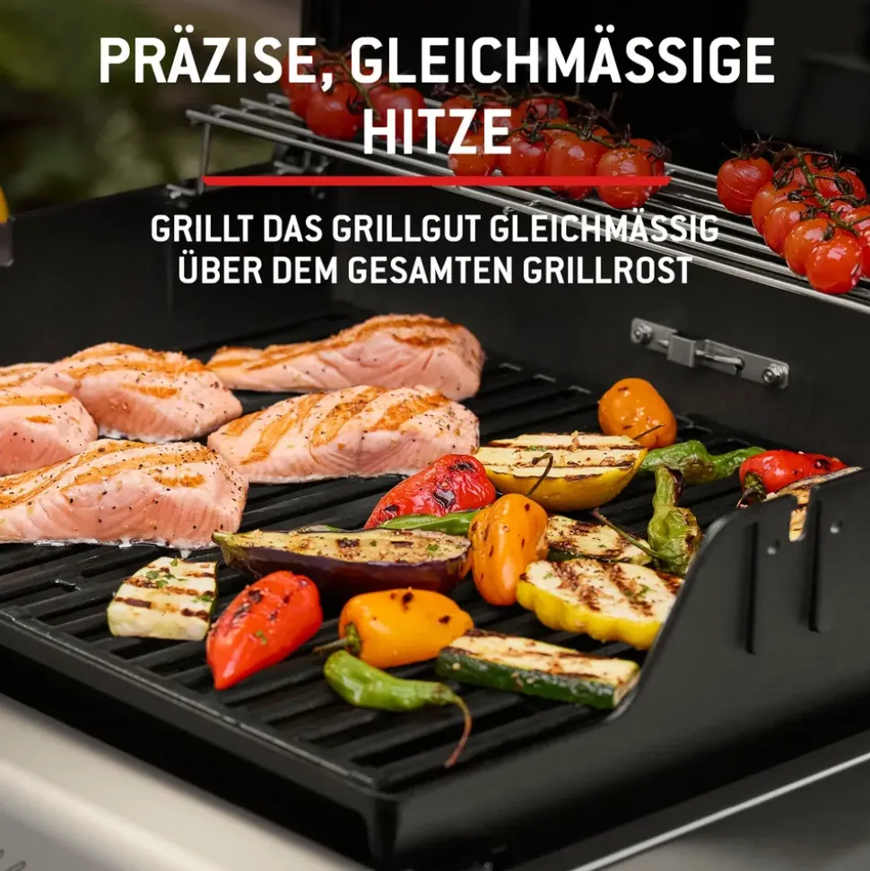 Weber Spirit E-325 GBS schwarz 1500895