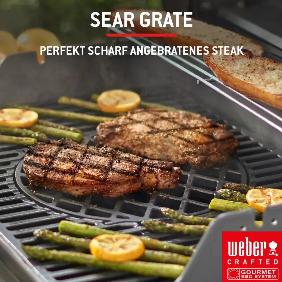 Weber Spirit E-325 GBS schwarz 1500895