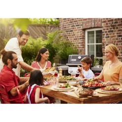 Weber Spirit E-310 schwarz 1500862