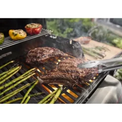 Weber Spirit E-310 schwarz 1500862