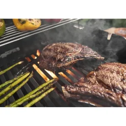 Weber Spirit E-310 schwarz 1500862