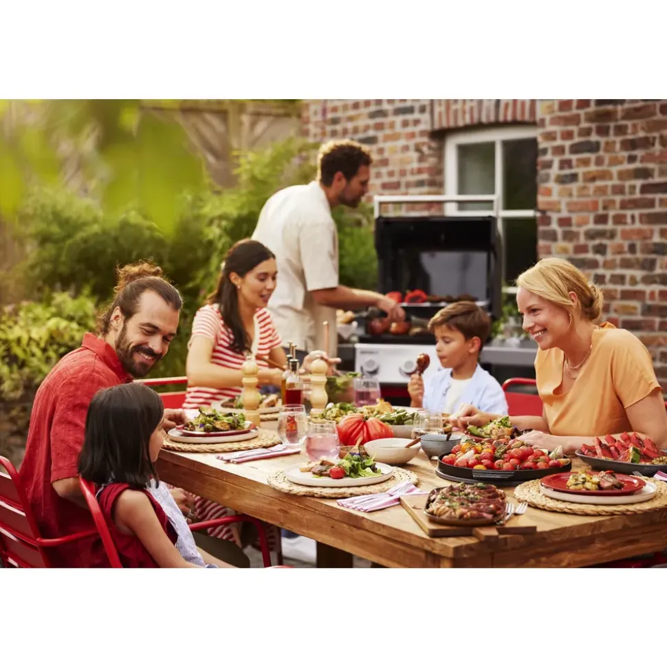 Weber Spirit E-310 schwarz 1500862