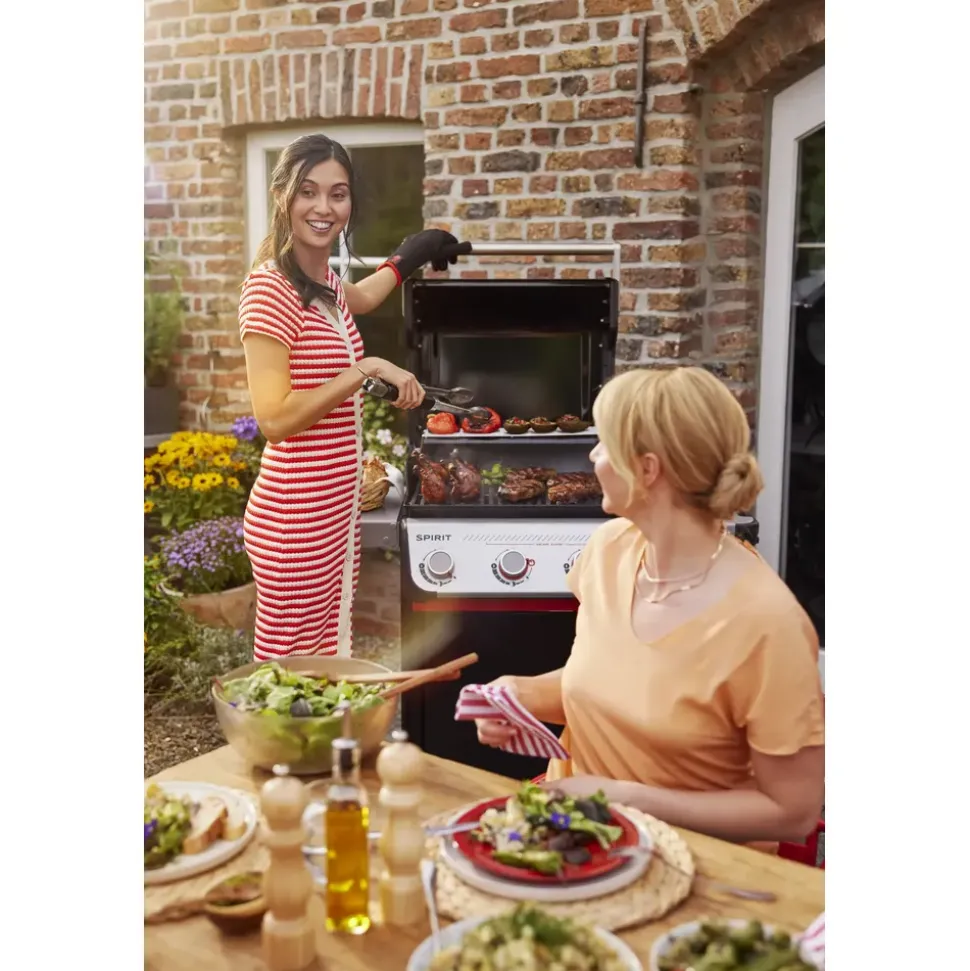 Weber Spirit E-310 schwarz 1500862