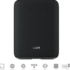 WiiM Sound Lite